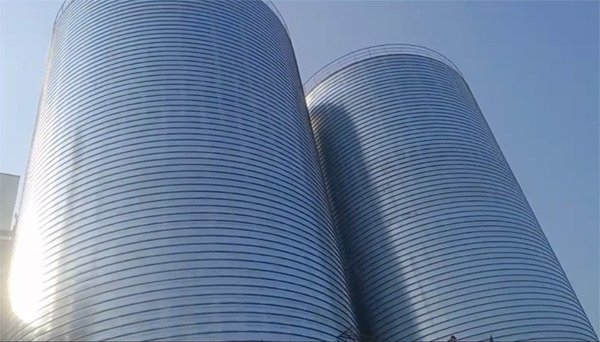 三江2座混凝土高架卷板仓